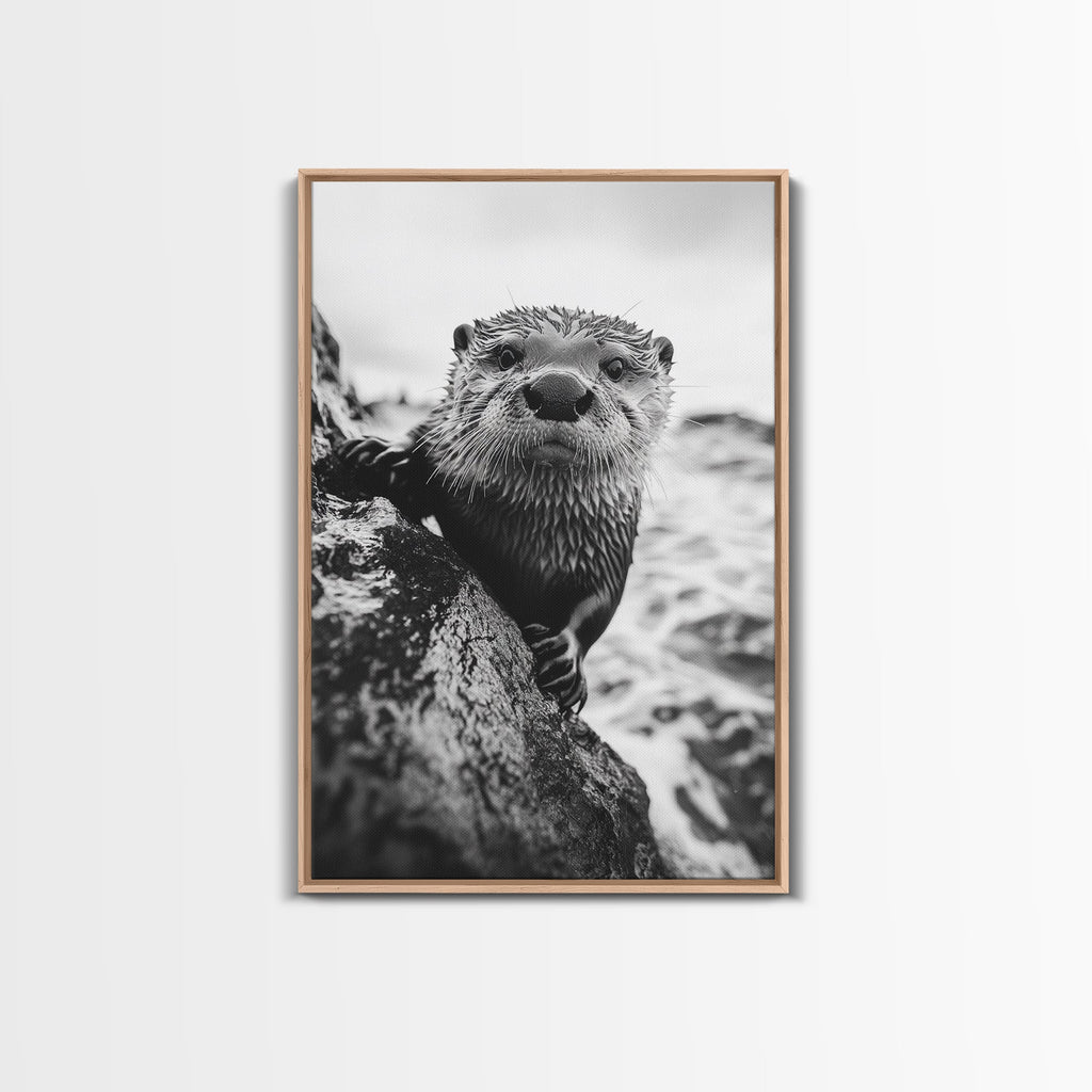 Curious Otter, Coastal Wildlife, Black and White, Animal Photography, Framed Canvas Print, Bathroom Wall Art, Nature Lover Gift