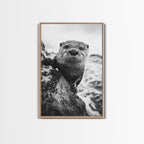 Curious Otter, Coastal Wildlife, Black and White, Animal Photography, Framed Canvas Print, Bathroom Wall Art, Nature Lover Gift