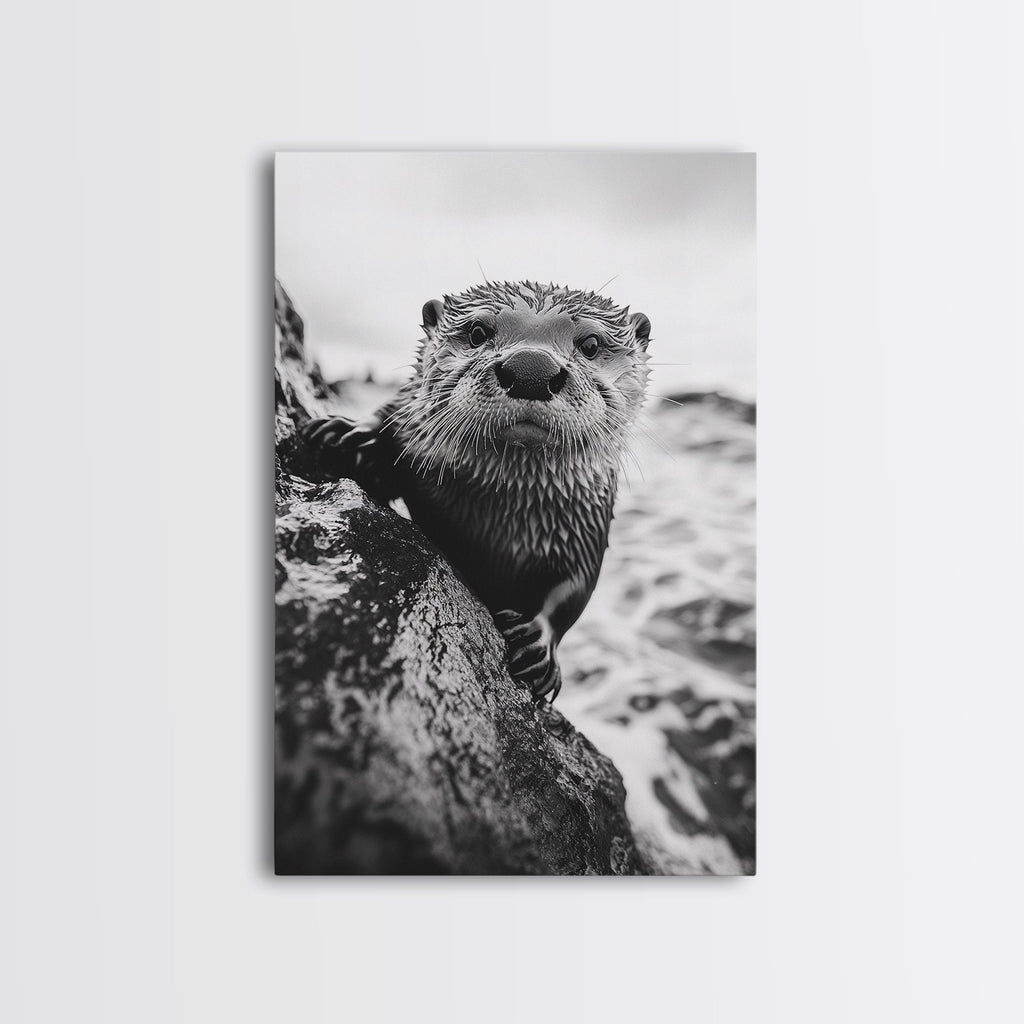 Curious Otter, Coastal Wildlife, Black and White, Animal Photography, Framed Canvas Print, Bathroom Wall Art, Nature Lover Gift