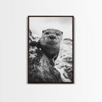 Curious Otter, Coastal Wildlife, Black and White, Animal Photography, Framed Canvas Print, Bathroom Wall Art, Nature Lover Gift