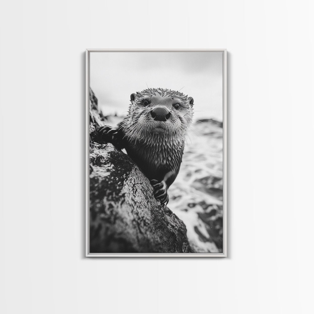 Curious Otter, Coastal Wildlife, Black and White, Animal Photography, Framed Canvas Print, Bathroom Wall Art, Nature Lover Gift