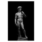 Nordic Simple Wall Art Black Ancient Greek Gods Sculpture David Statue Canvas Print Poster Home Living Room Bedroom Decoration